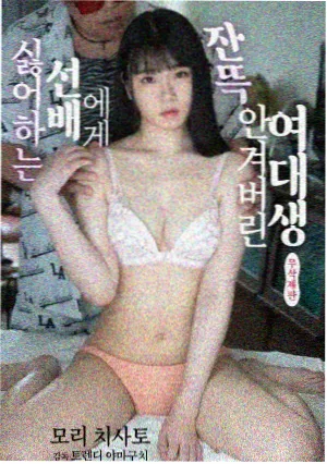 韩剧《顶楼花园的秘密》海报